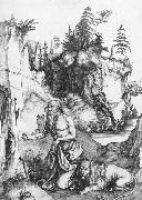 Albrecht Durer St Jerome Penitent in the Wilderness oil